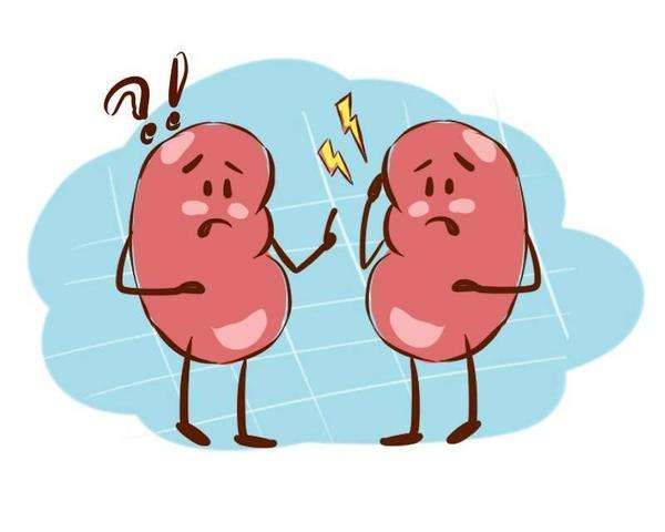 健康養(yǎng)生小知識！腎衰竭的早期癥狀表現(xiàn)有哪些？